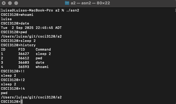 Custom Terminal Shell
