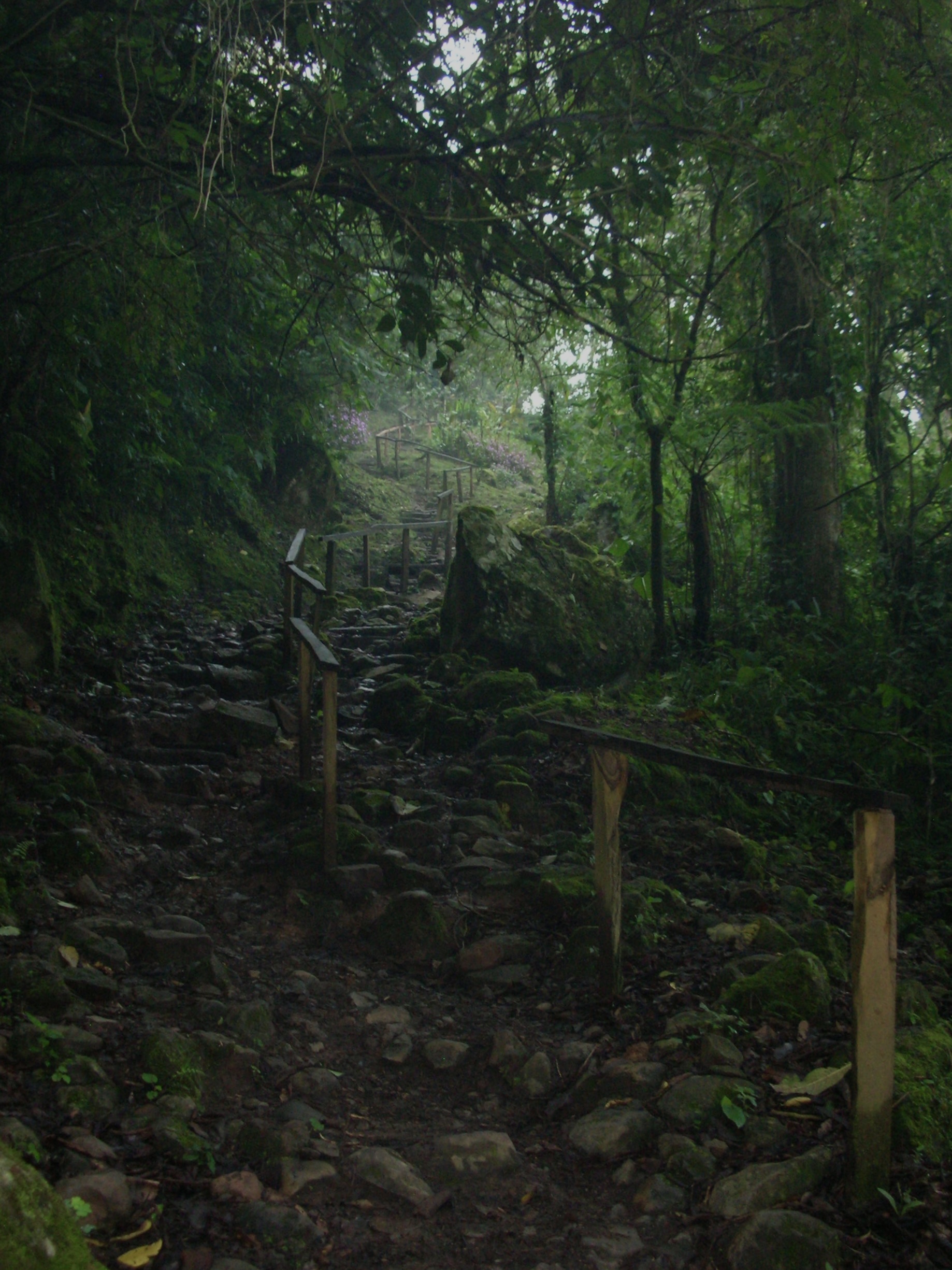 Path to Las Tres Cascadas